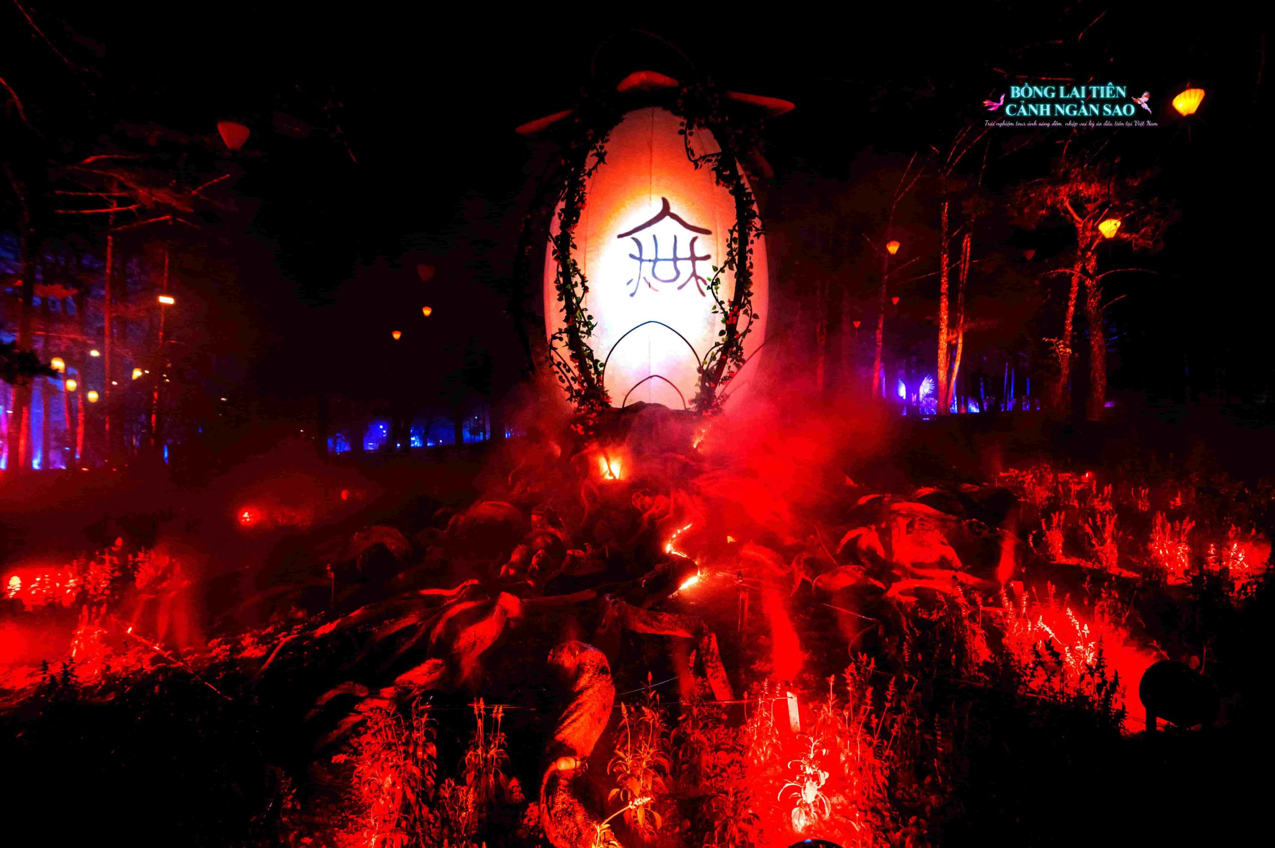 What is an Immersive Night Tour? | “Starry Fairyland of Penglai”: From “Seeing the Night View” to “Stepping into a Dream”