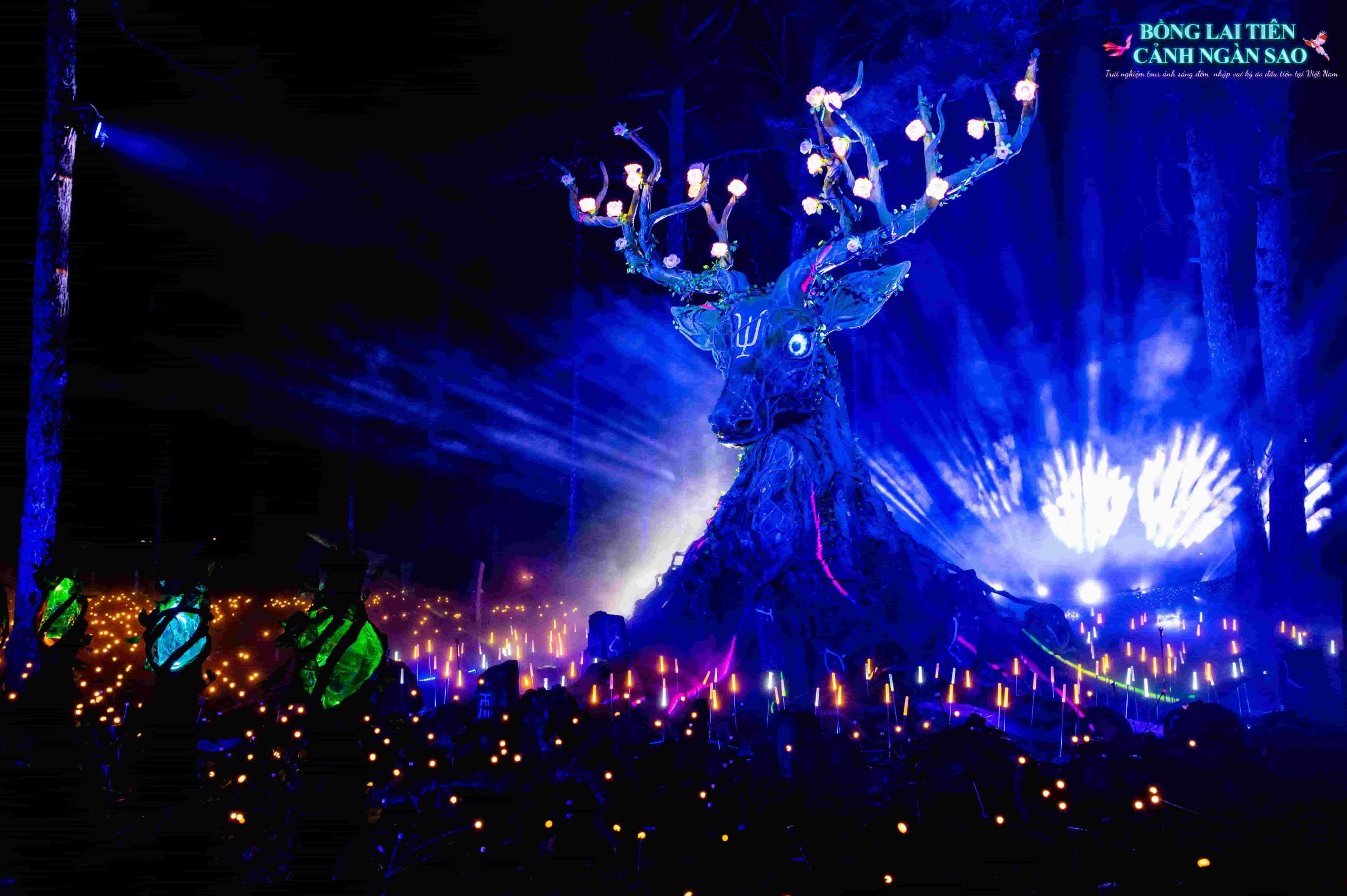 Immersive Night Journey | Starry Fairyland of Penglai: A Mythical Adventure in the Enchanted Forests of Da Lat